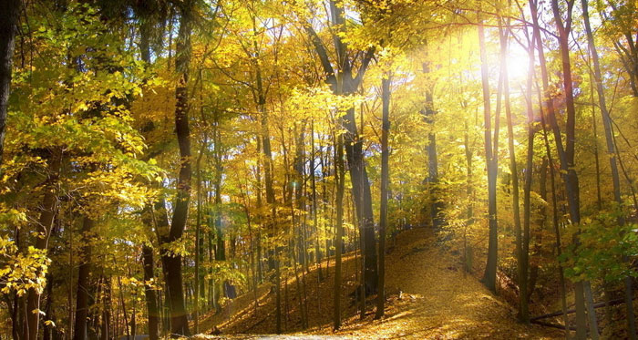 首页| 凯发K8国际·天生赢家一触即发