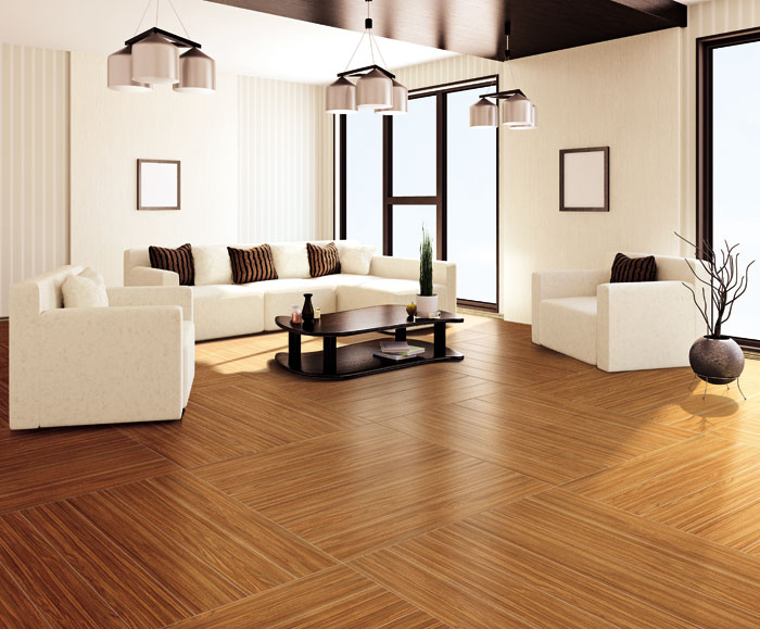 最美，不过当阳光遇上森林