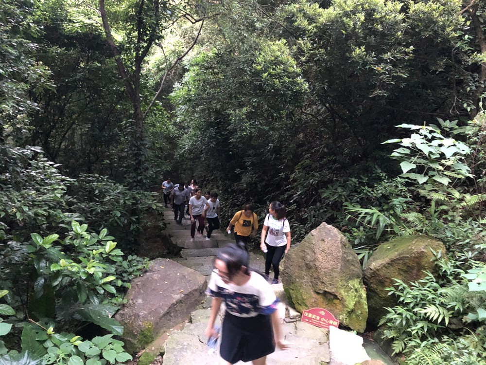 首页| 凯发K8国际·天生赢家一触即发