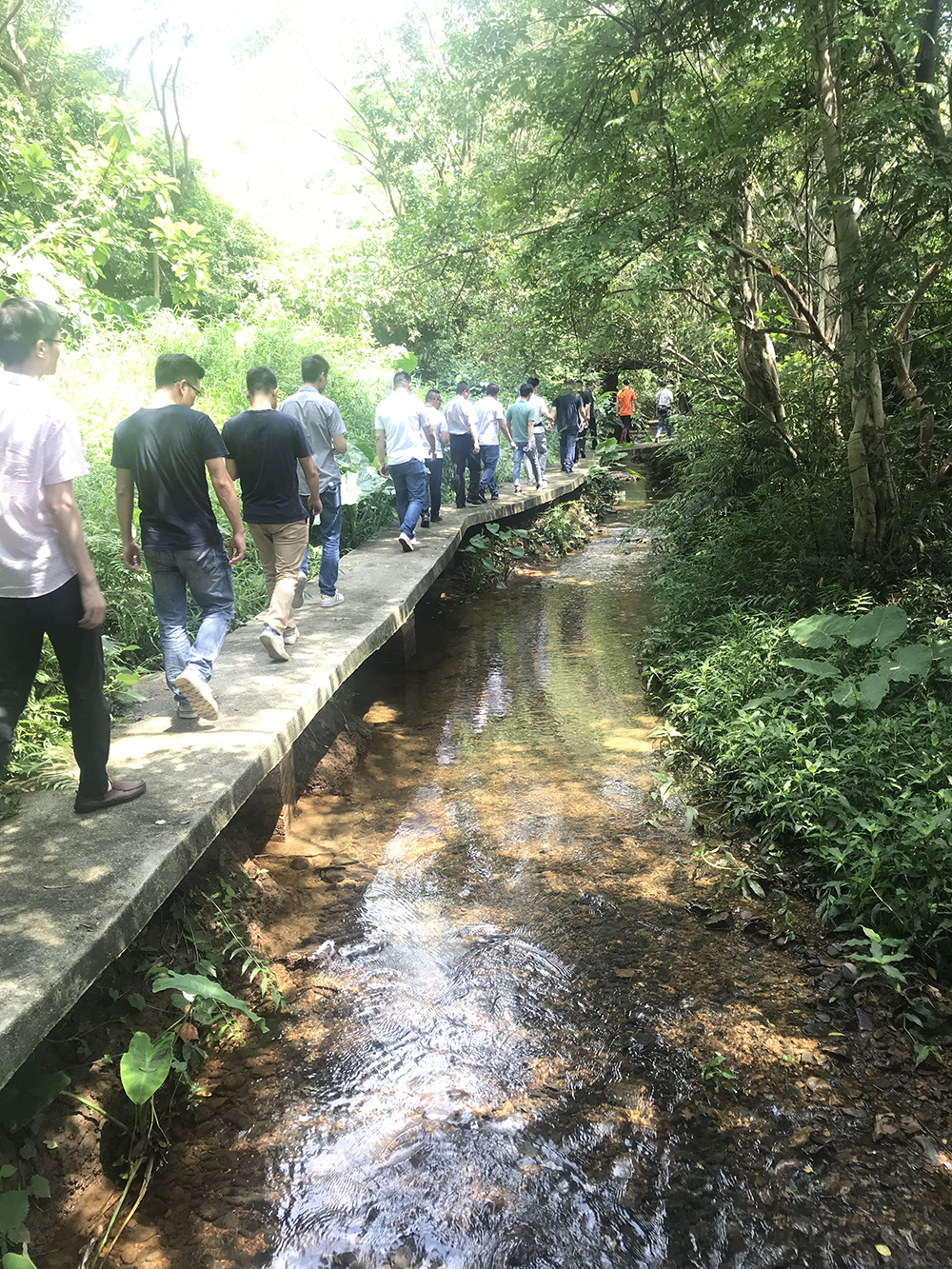 首页| 凯发K8国际·天生赢家一触即发