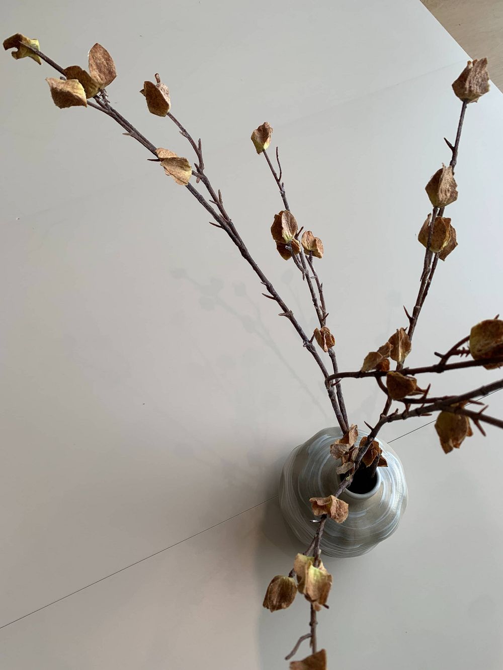 首页| 凯发K8国际·天生赢家一触即发