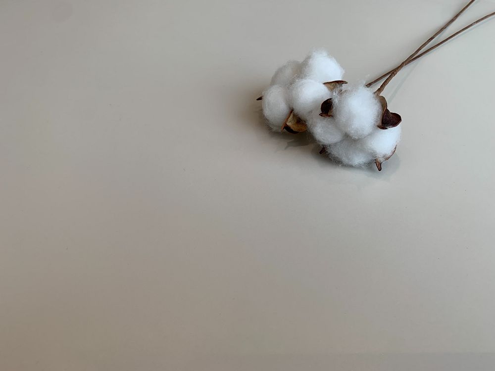 首页| 凯发K8国际·天生赢家一触即发