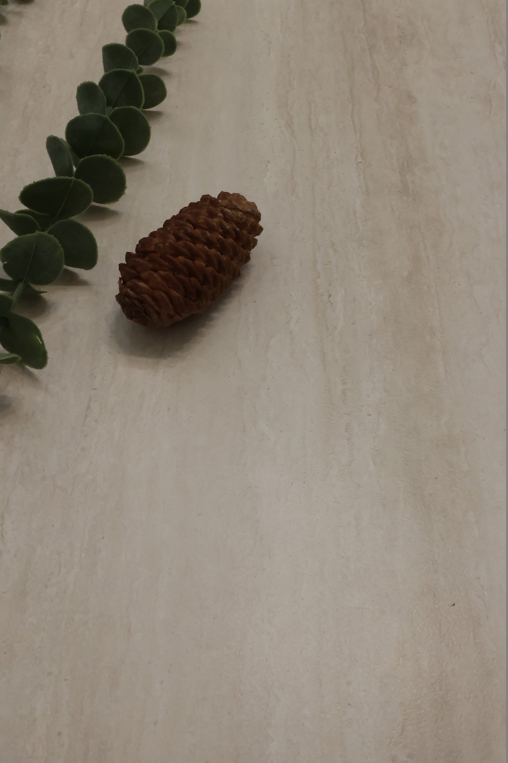 首页| 凯发K8国际·天生赢家一触即发