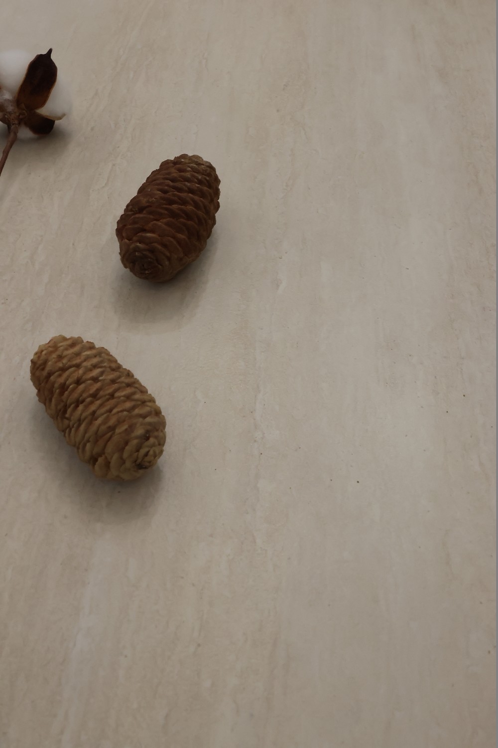 首页| 凯发K8国际·天生赢家一触即发