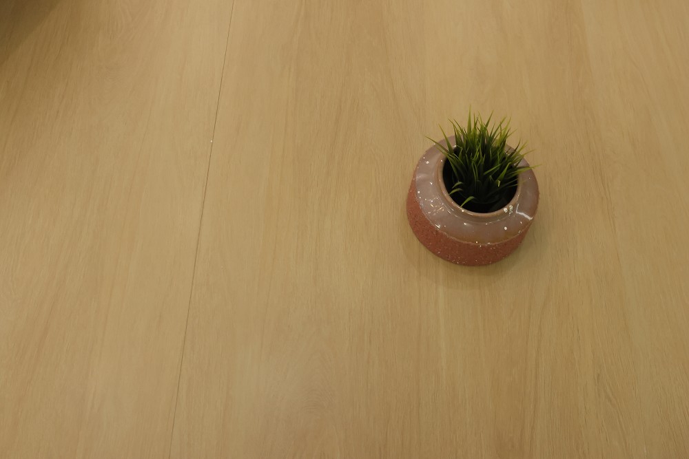 首页| 凯发K8国际·天生赢家一触即发