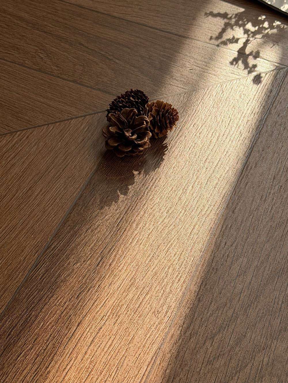 首页| 凯发K8国际·天生赢家一触即发