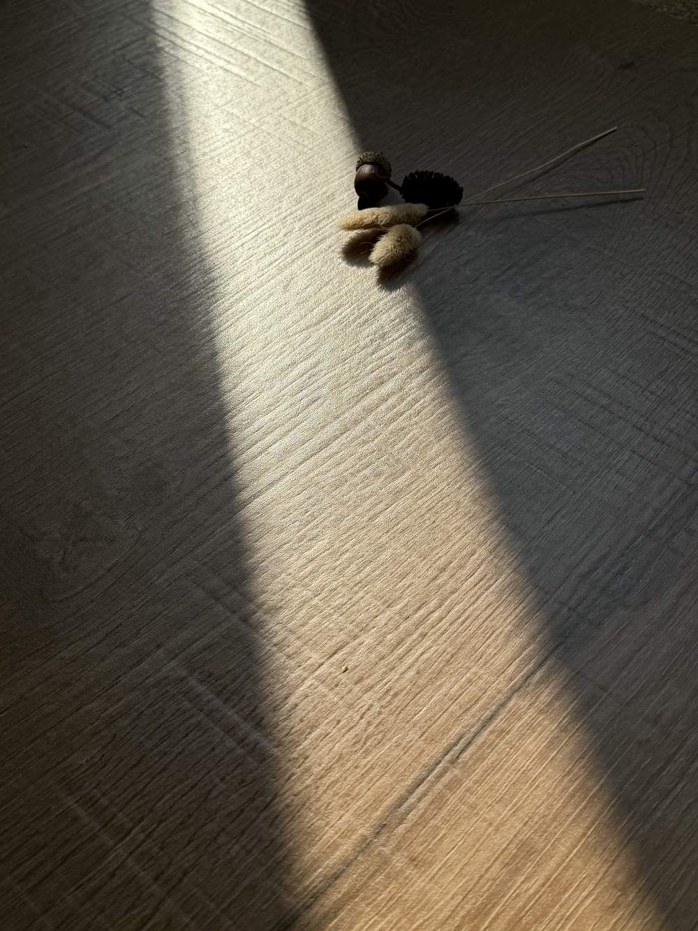 首页| 凯发K8国际·天生赢家一触即发