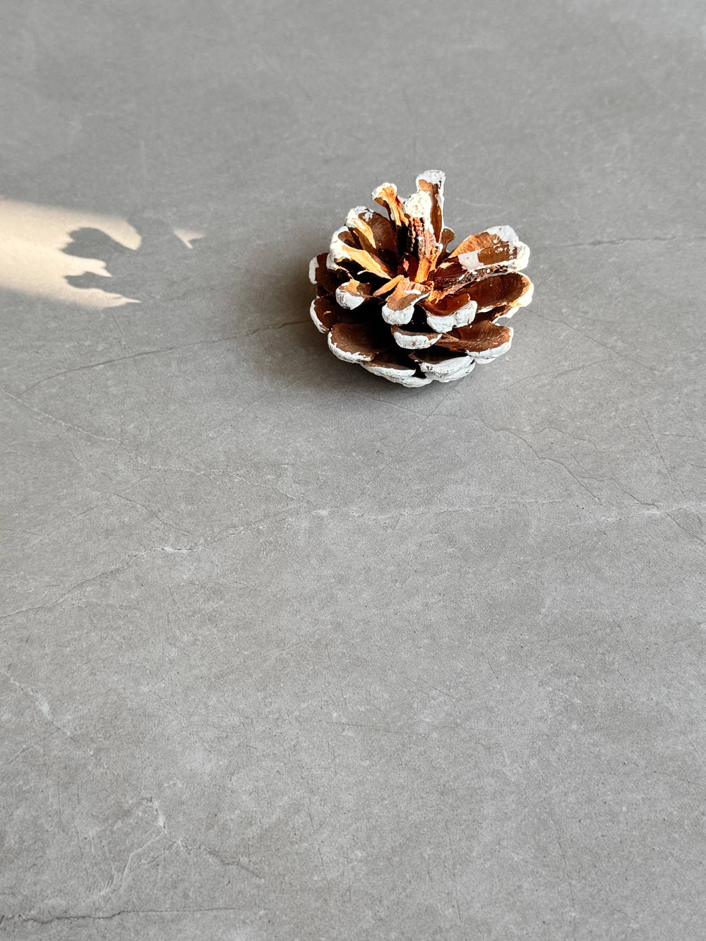 首页| 凯发K8国际·天生赢家一触即发