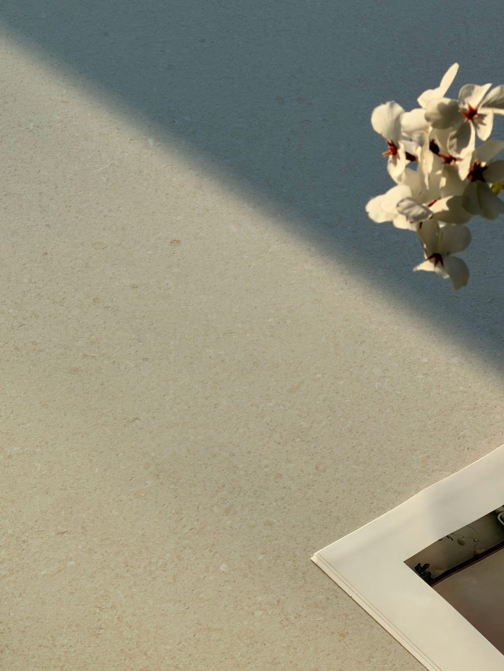 首页| 凯发K8国际·天生赢家一触即发